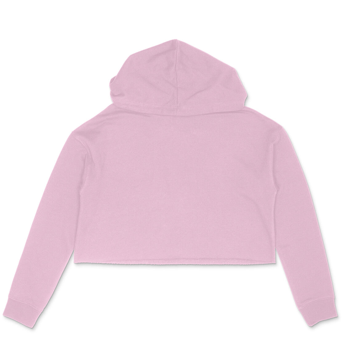 front-6575706a53788-Light_Pink_S_Crop_Hoodie.jpg